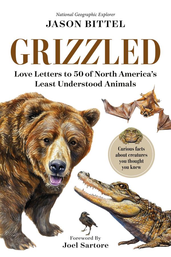 Grizzled-Nature and the natural world: general interest-買書書 BuyBookBook