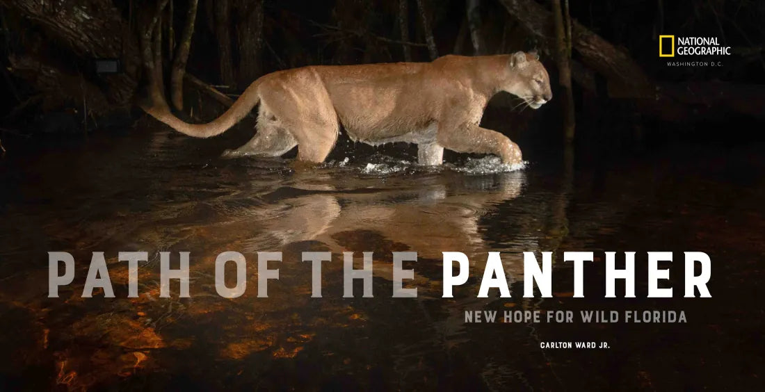 Path of the Panther US - Hardback