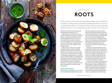 National Geographic Backyard Guide to Edible Wild Plants US - Paperback / softback