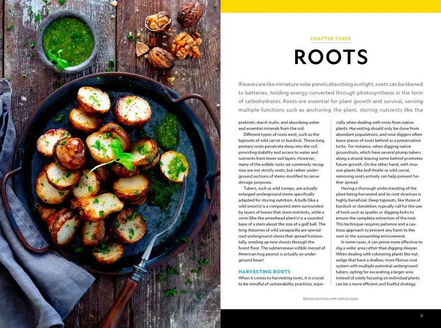 National Geographic Backyard Guide to Edible Wild Plants US - Paperback / softback