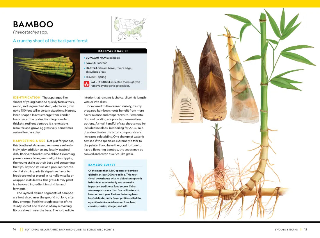 National Geographic Backyard Guide to Edible Wild Plants US - Paperback / softback