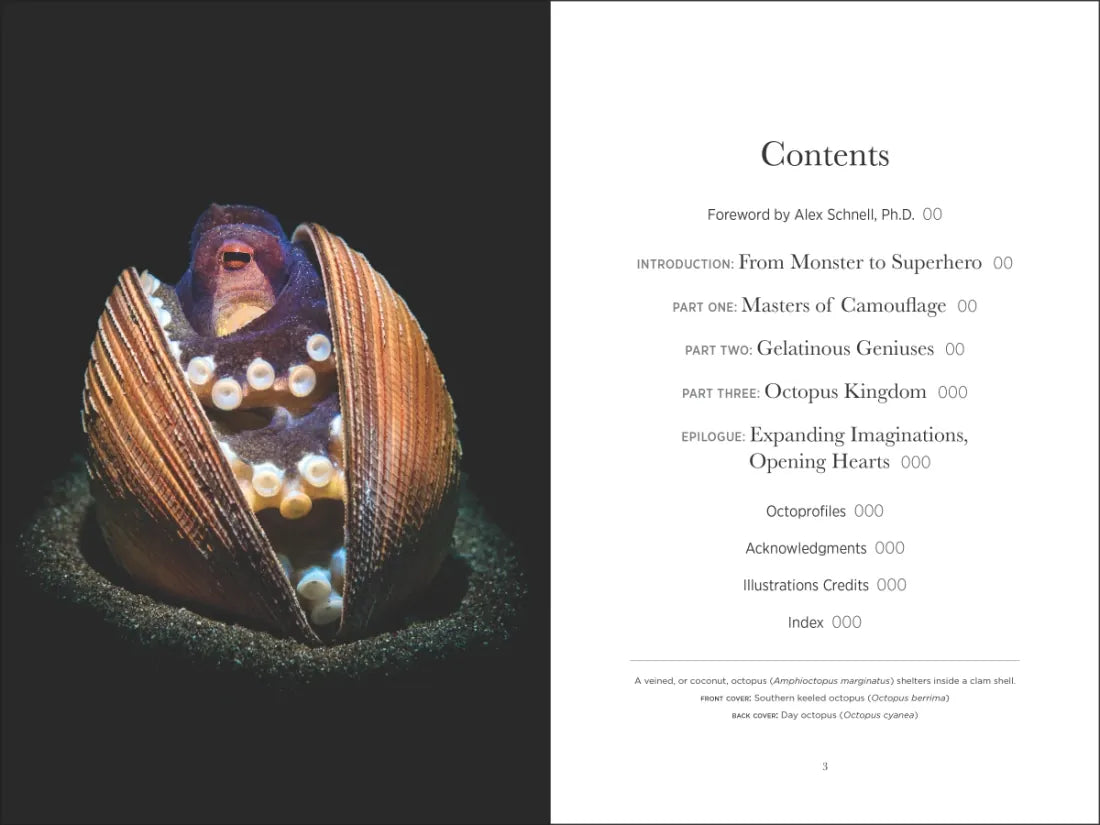 Secrets of the Octopus US - Hardback