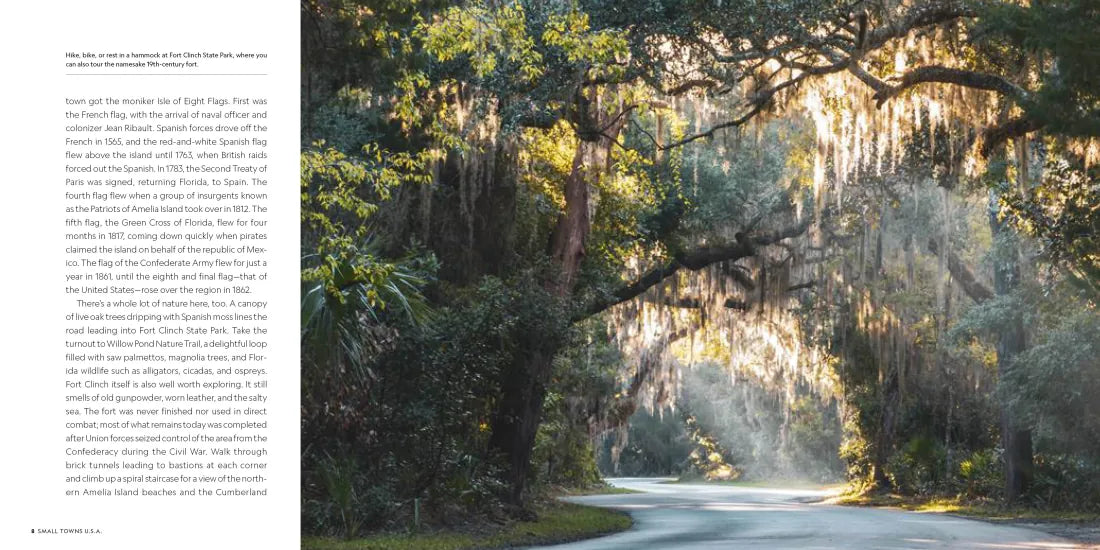 Small Towns U.S.A. US - Hardback