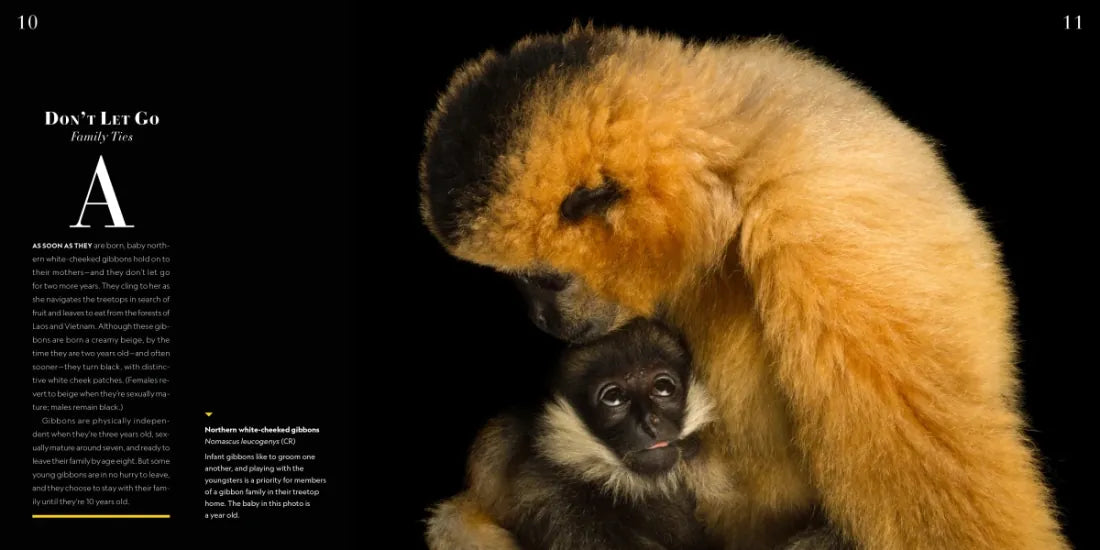 National Geographic Photo Ark Babies US - Hardback