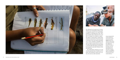 Okavango and the Source of Life US - Hardback