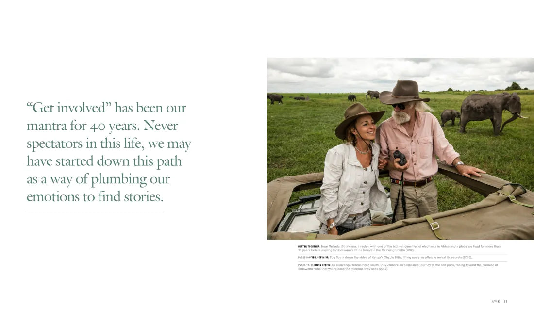 Wild Eye US - Hardback