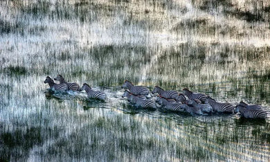 Wild Eye US - Hardback