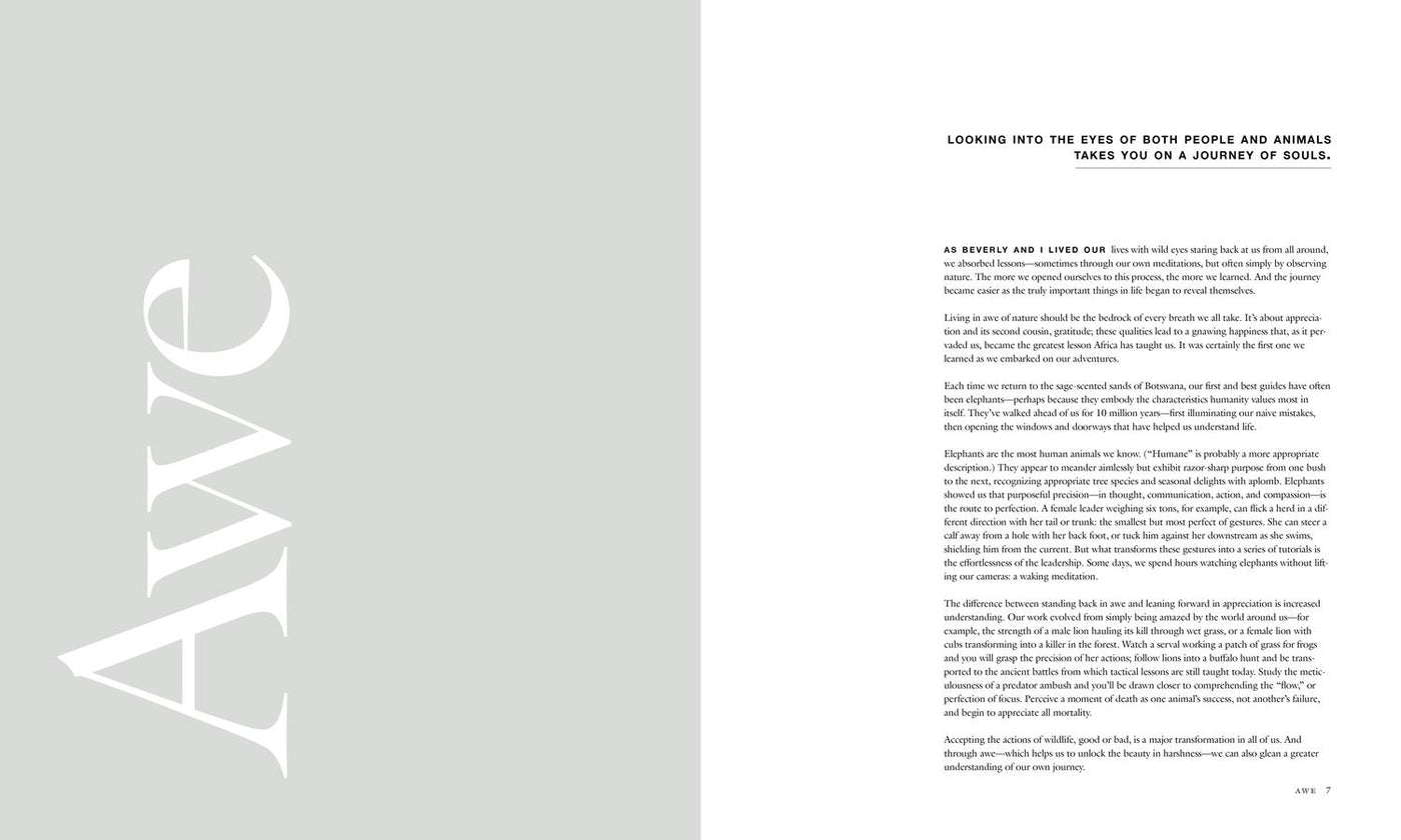 Wild Eye US - Hardback