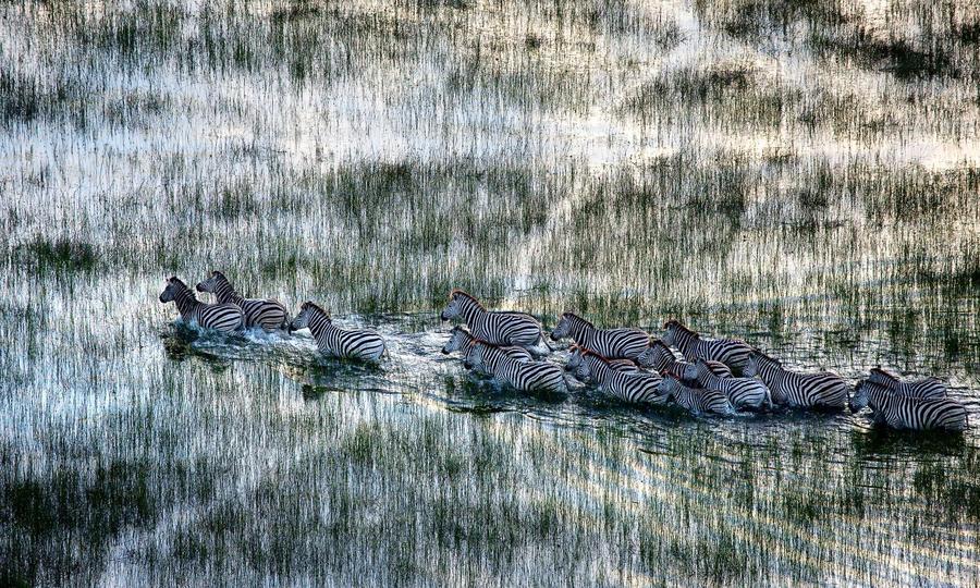 Wild Eye US - Hardback