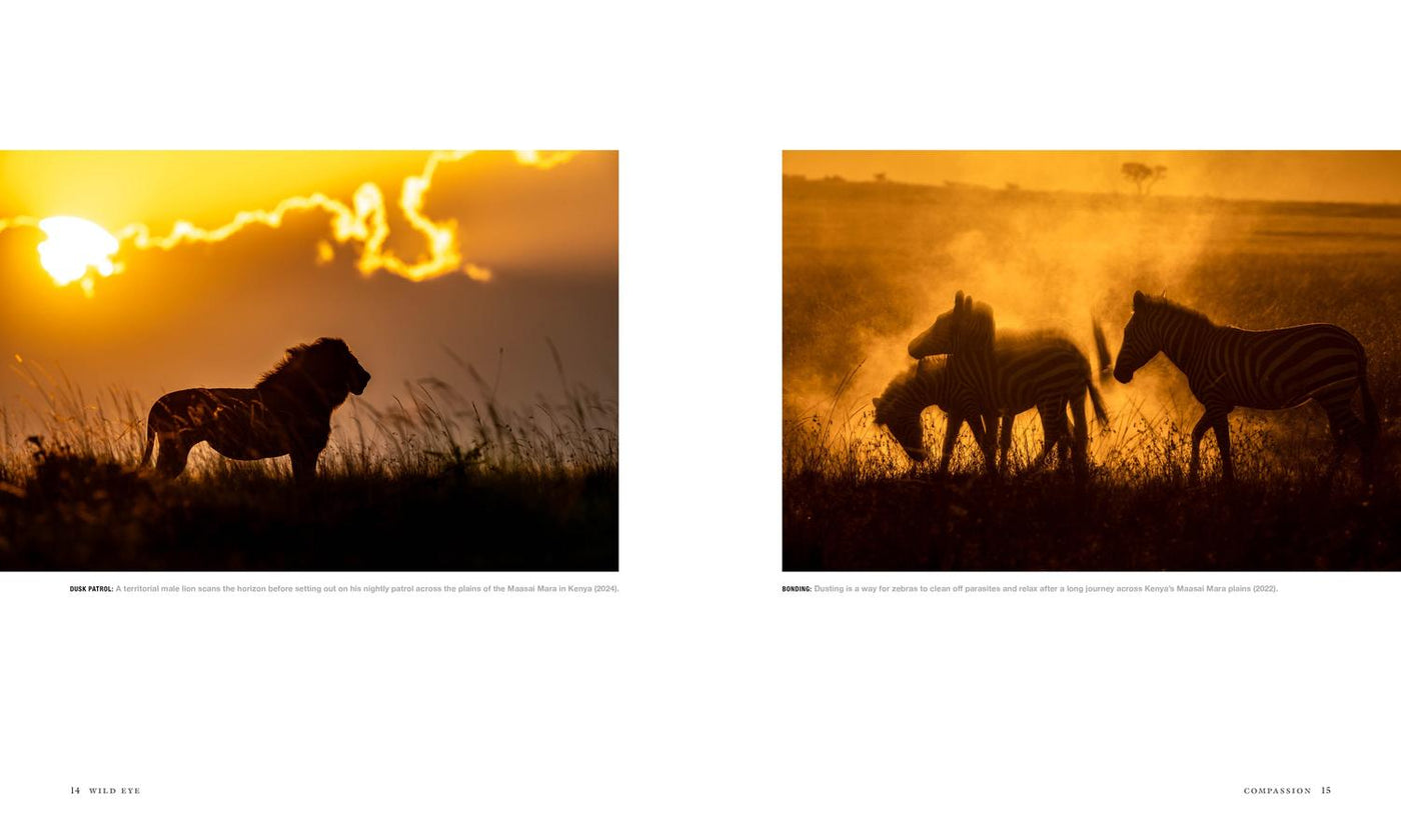 Wild Eye US - Hardback