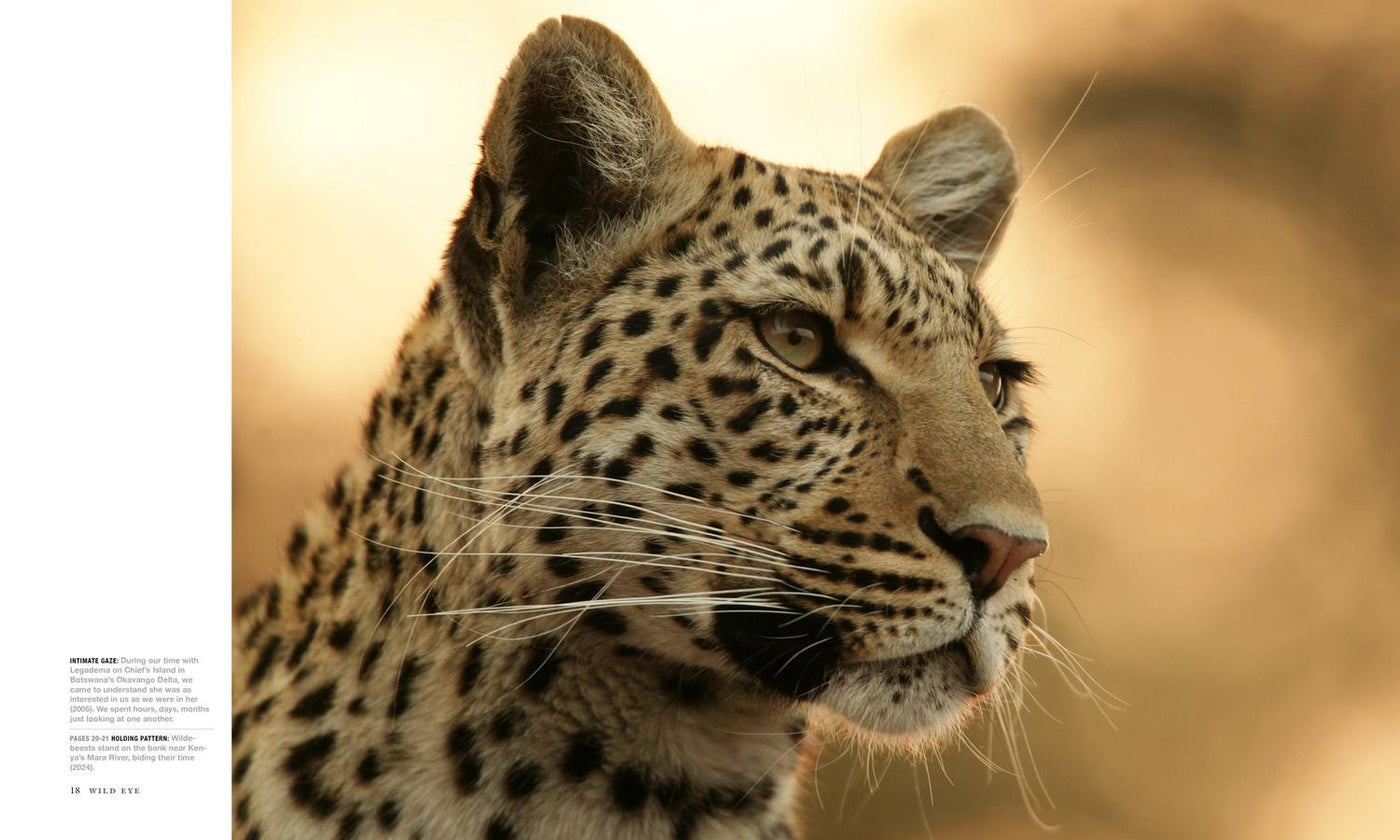 Wild Eye US - Hardback