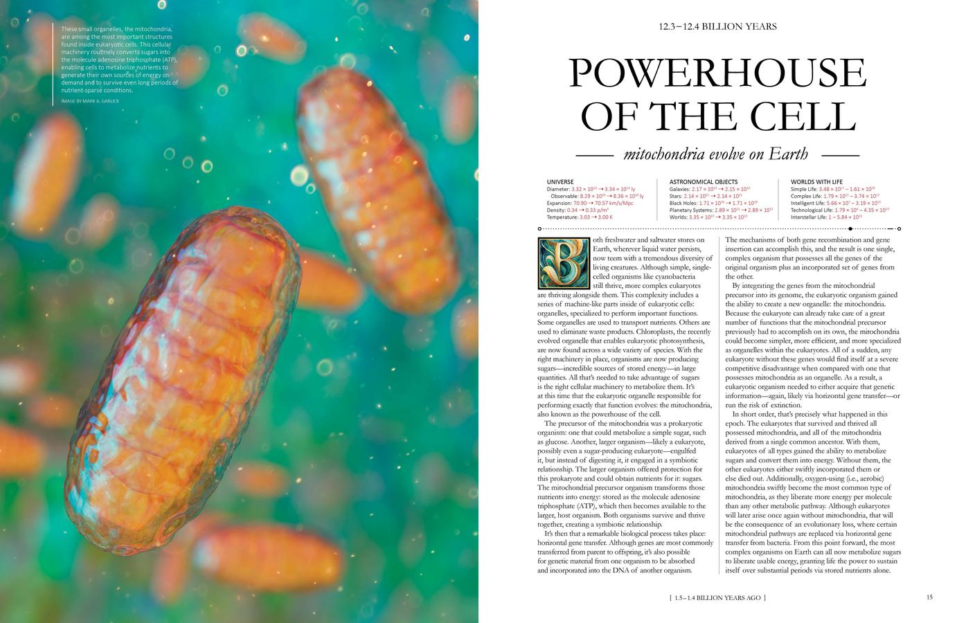 The Grand Cosmic Story US - Hardback