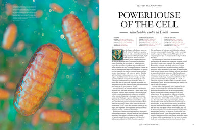 The Grand Cosmic Story US - Hardback