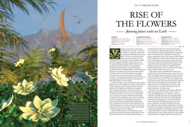 The Grand Cosmic Story US - Hardback