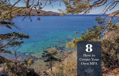 How to Revive Our Ocean interior 6 (ISBN 9781426224478)