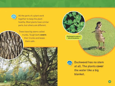 Plants (National Geographic Kids Readers, Level 1/Co-Reader) US - Paperback / softback