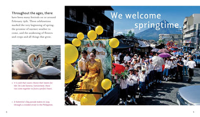 Holidays Around the World: Celebrate Valentine's Day US - Paperback / softback