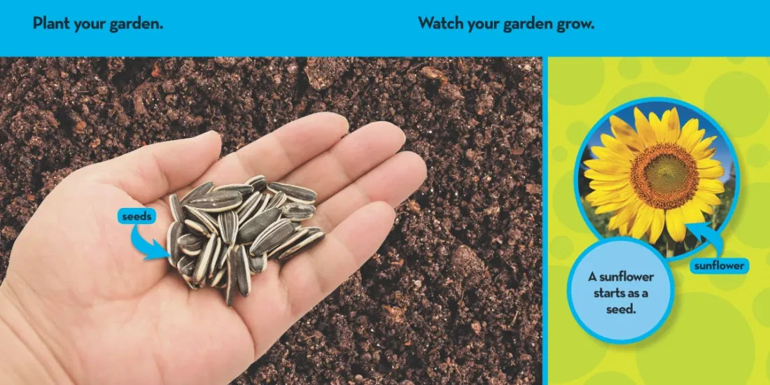 National Geographic Kids Look & Learn: In My Garden US - Board book