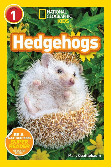 Hedgehogs (National Geographic Kids Readers, Level 1)-Children’s / Teenage general interest: Rodents and rabbits-買書書 BuyBookBook