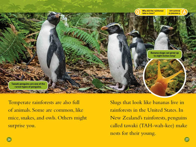 Rainforests (National Geographic Kids Readers, Level 2) US - Hardback