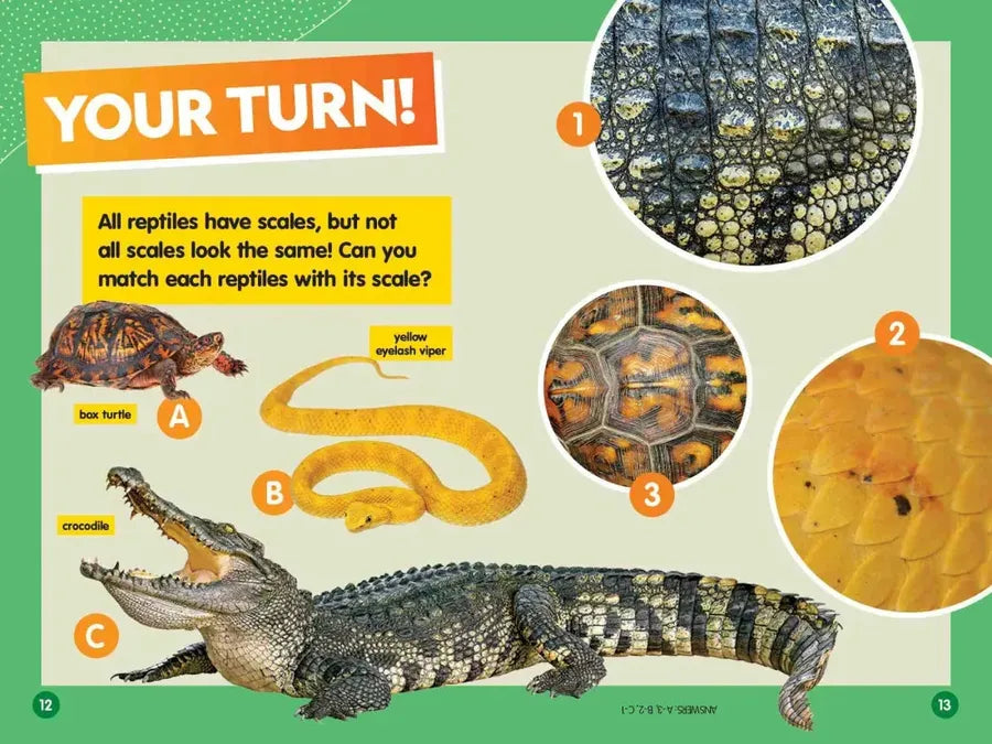 Reptiles (National Geographic Kids Readers, Level 1/Co-Reader) US - Paperback / softback