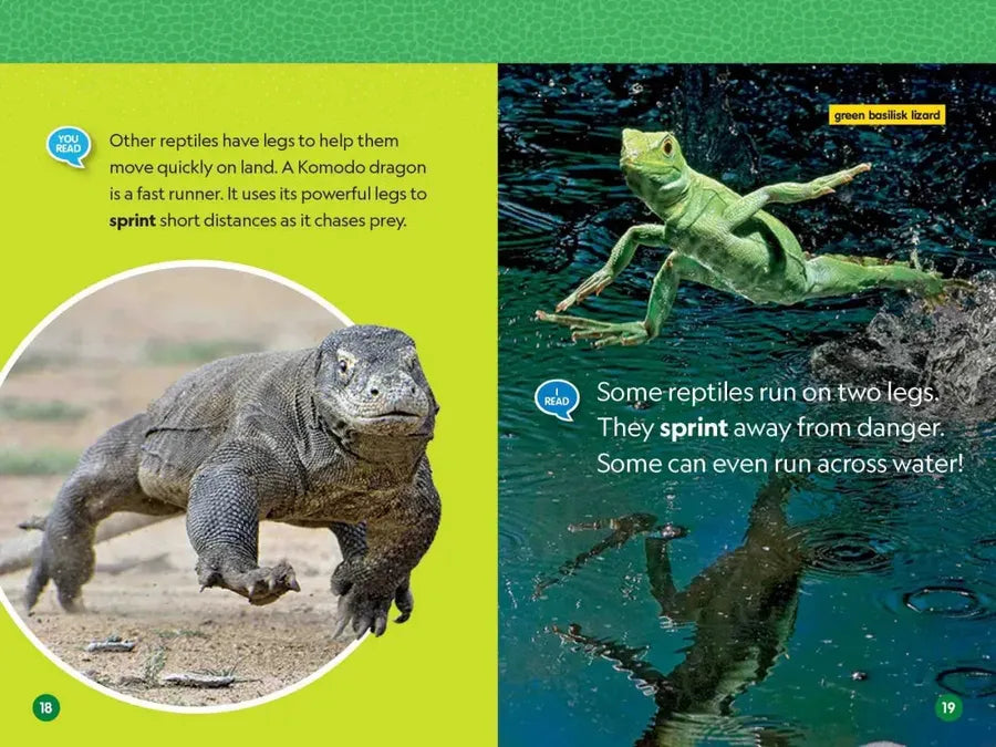 Reptiles (National Geographic Kids Readers, Level 1/Co-Reader) US - Paperback / softback