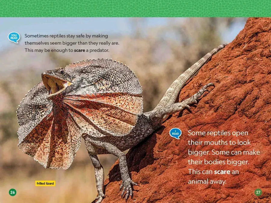 Reptiles (National Geographic Kids Readers, Level 1/Co-Reader) US - Paperback / softback