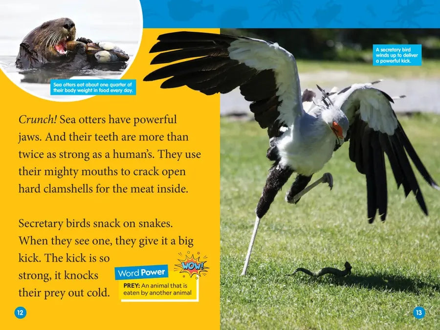 Animal Superpowers (National Geographic Kids Readers, Level 2) US - Paperback / softback