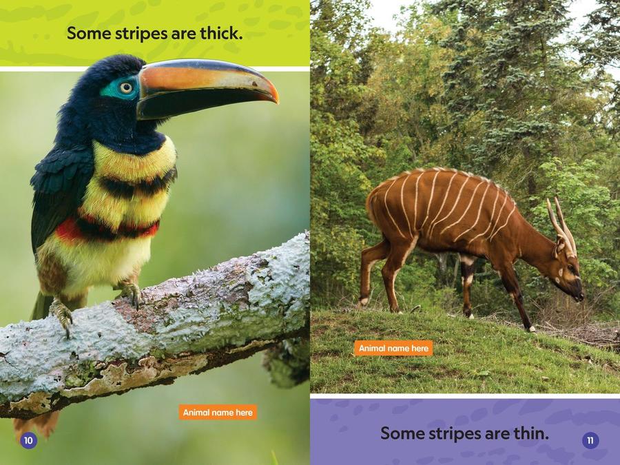 Stripes and Spots (National Geographic Kids Readers, Pre-Reader) US - Paperback / softback