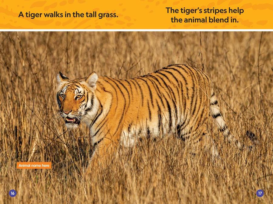 Stripes and Spots (National Geographic Kids Readers, Pre-Reader) US - Paperback / softback