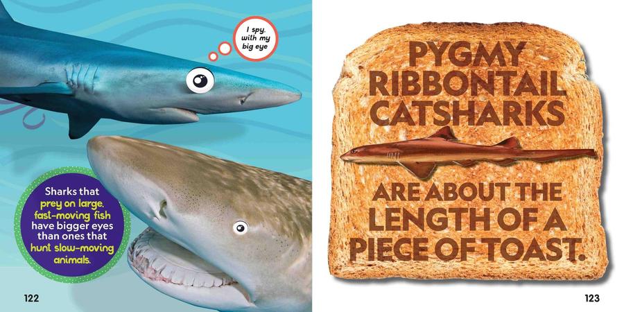 Weird But True! Sharks US - Paperback / softback