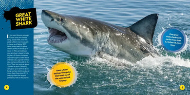 Deadliest Animals on the Planet US - Paperback / softback