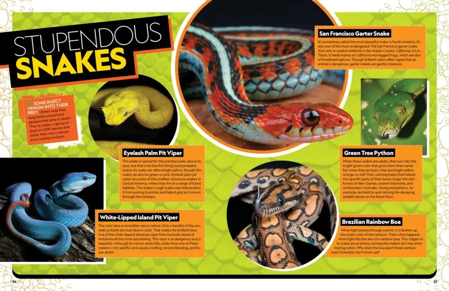 The Ultimate Book of Reptiles US - Hardback (9781426373732)
