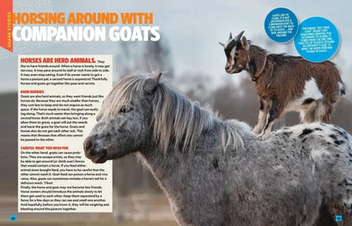 Can't Get Enough Horse Stuff US - Paperback / softback