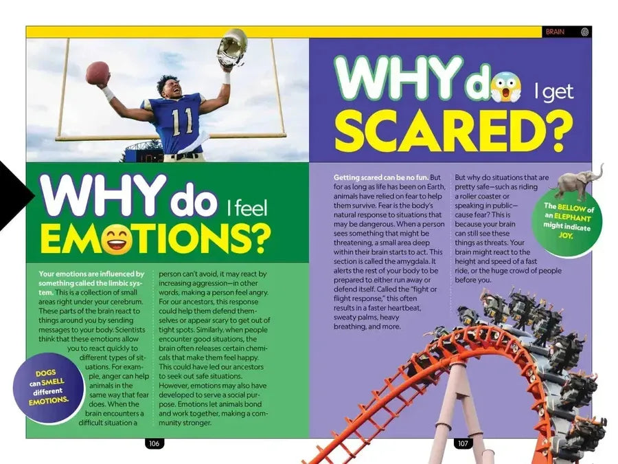 National Geographic Kids Why? The Human Body US - Paperback / softback