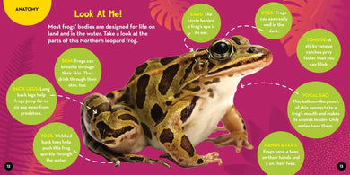 Go Wild! Frogs US - Hardback (9781426375149)
