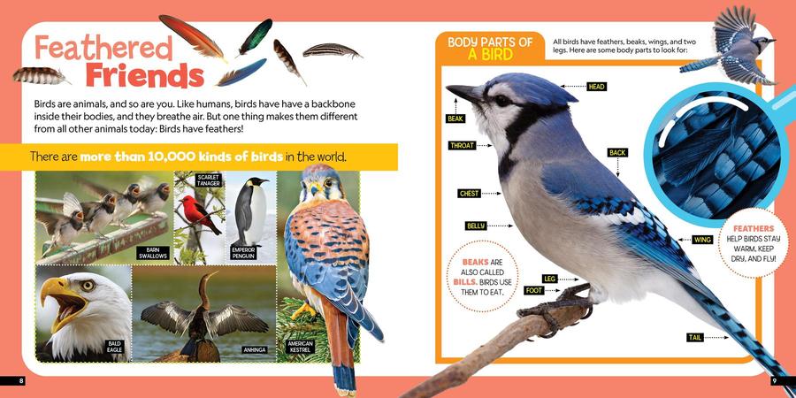 Little Kids First Nature Guide Birds US - Book