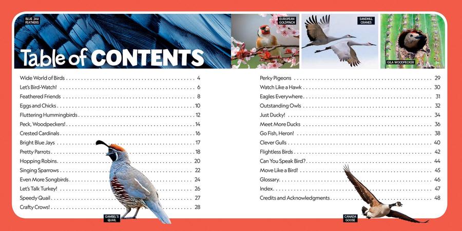 Little Kids First Nature Guide Birds US - Book