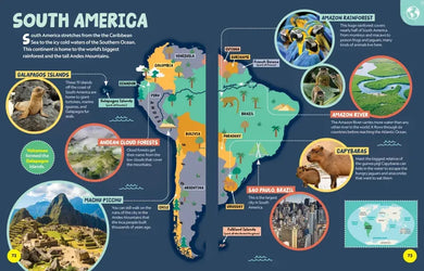 National Geographic Little Kids First Encyclopedia of Almost Everything US - Hardback (9781426375477)