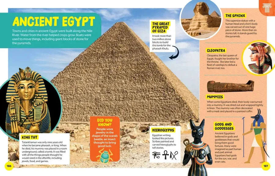 National Geographic Little Kids First Encyclopedia of Almost Everything US - Hardback (9781426375477)