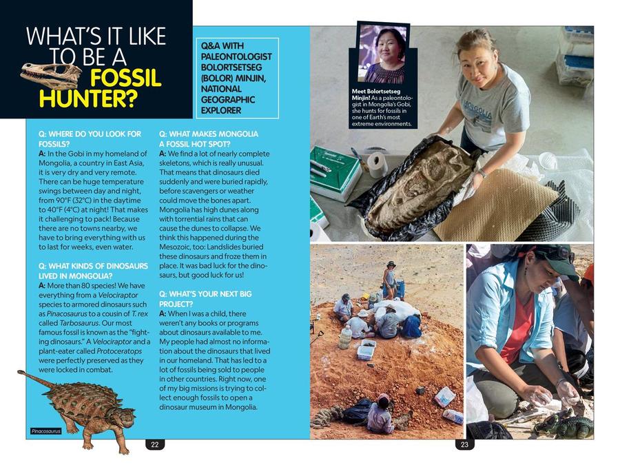 National Geographic Kids Why? Dinosaurs US - Paperback / softback