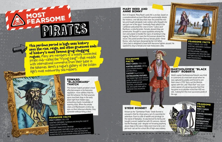 How to Survive in the Age of Pirates US - Paperback / softback