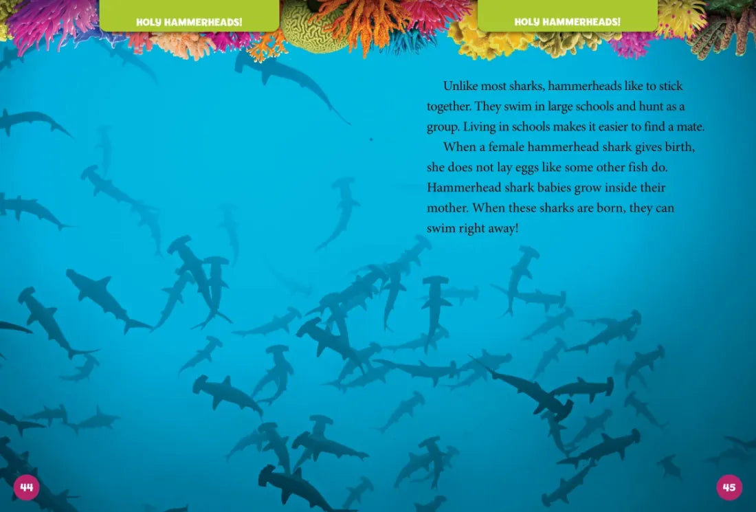 National Geographic Kids 5-Minute Shark Stories US - Hardback