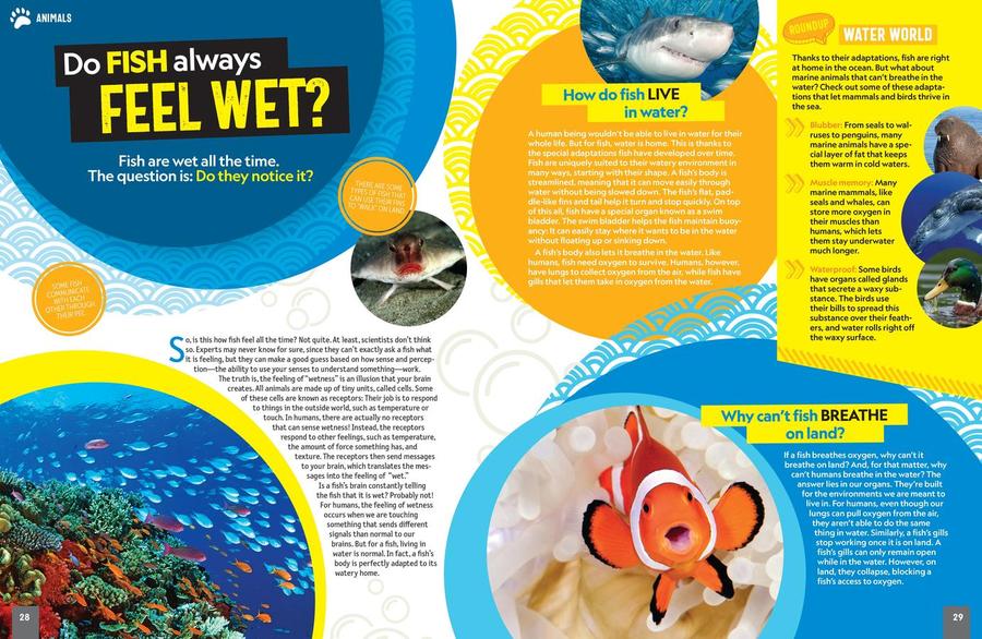 Yes! No? Maybe So... US - Hardback (9781426375736)