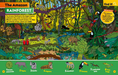 Find It! Explore It! Animals US - Paperback / softback