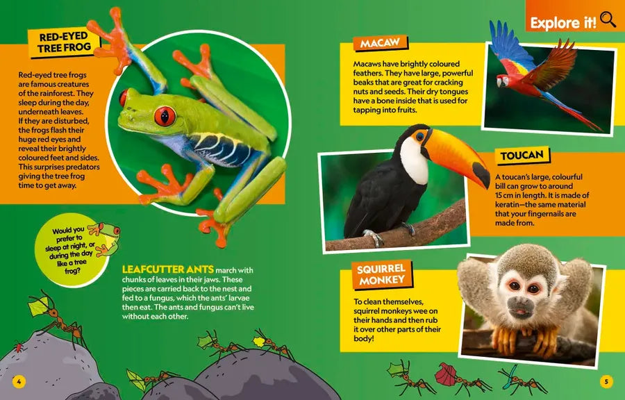 Find It! Explore It! Animals US - Paperback / softback