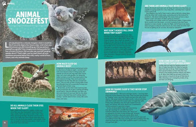 Yes! No? Maybe So... US - Hardback (9781426375859)