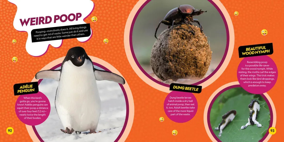 Weirdest Animals on the Planet US - Paperback / softback