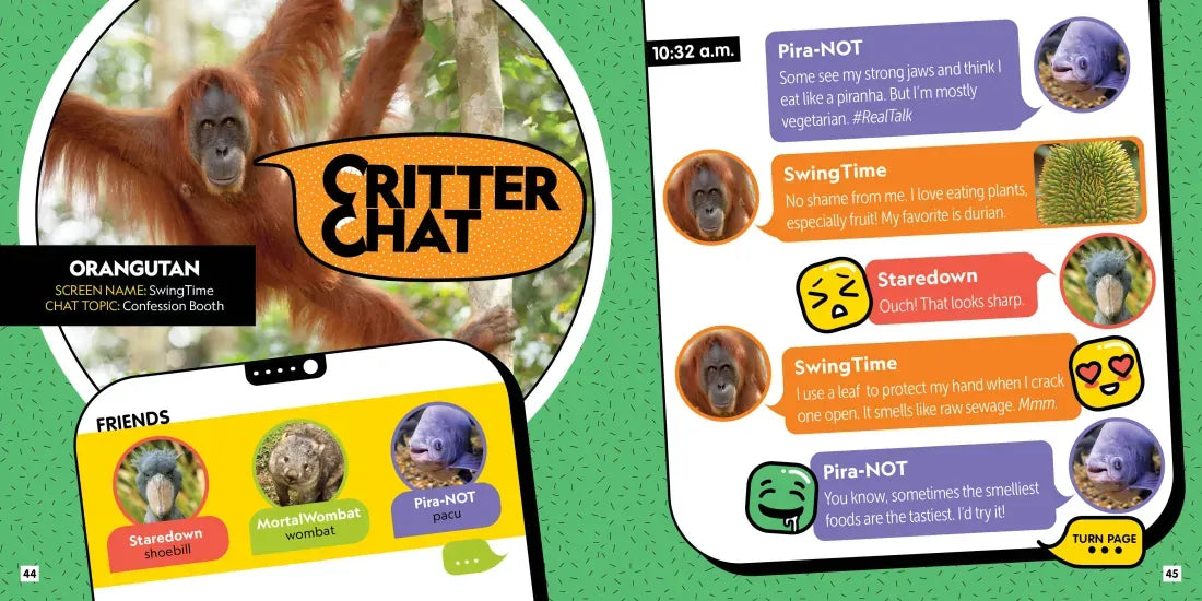 Critter Chat: World Wild Web US - Hardback