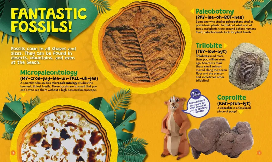 Big Words for Little Paleontologists US - Hardback (9781426375972)